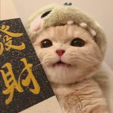 Ảnh đại diện Thanh Hà